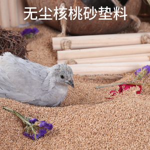 芦丁鸡鹌鹑专用无尘核桃沙芦丁鸡的垫料发酵床核桃砂宠物除臭木屑