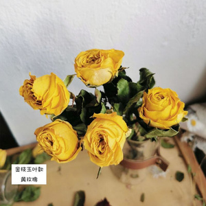 瑰泡泡干花ins多头花s束真花风干网红装饰摆件玫瑰家居拍摄道具.