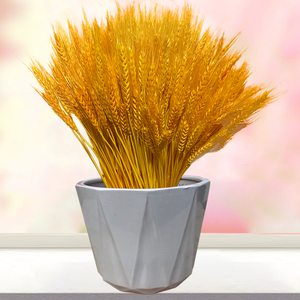 高级干花真花开业麦子麦穗招财花材料小麦家居用品卧室客厅装饰干