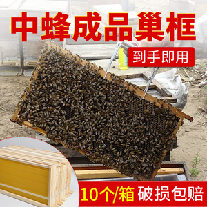 中蜂成品巢框 杉木带框巢础一体蜜蜂框 标准十框蜂箱专用养蜂工具