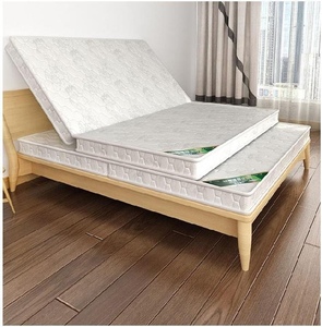 硬垫单人床床垫经济尺寸尺寸席梦思定制出租椰棕薄薄款棕小型.