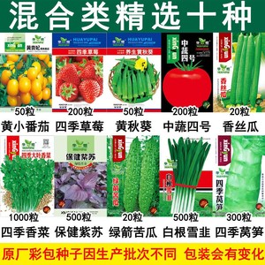 上百品种蔬菜种子四季播种阳台盆栽庭院香菜豆角辣椒生菜黄瓜籽子