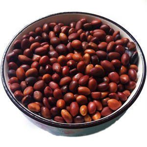 新货大皂角种子 皂刺树种子 优质造刺树种子 小皂角种子净籽干净