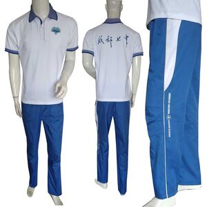 成都七中夏季校服林阴校区高新校区纯棉短袖翻领t恤长裤中裤定制