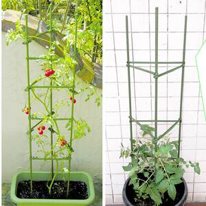 菜园种菜搭架子瓜果爬藤架原生竹户外装饰栅栏竹竿搭豆角架3人付款19