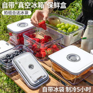 家之物语户外移动小冰箱便携真空保鲜盒水果便当食品密封盒带冰盒