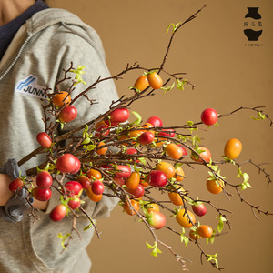 仿真果实客厅造景花瓶插花装饰小番茄发财果花艺花卉中式软装摆件