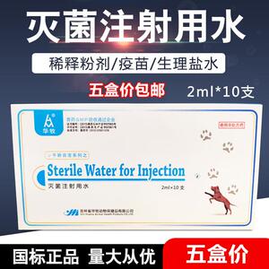 兽用灭菌注射水2ml 5ml头孢青霉素粉针疫苗稀释液伤口冲洗用水药