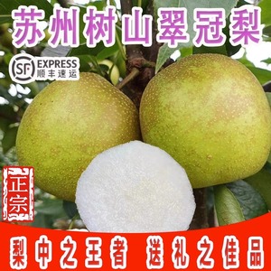【超大超甜】苏州树山翠冠梨新鲜水果树山梨带箱10斤梨子大果包邮