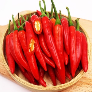 海南新鲜辣椒小米椒5斤朝天小米辣红辣椒农家土蔬菜可剁泡椒