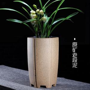 种大花惠兰花盆