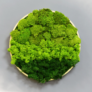 永生苔藓干花绿植壁挂挂件挂饰壁饰餐厅客厅景观植物墙墙面装饰