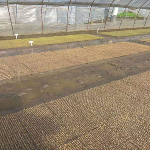 播种器机插育秧播种器机插秧播种器水稻育秧播种器水稻播种器353