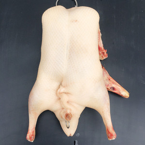 【海鹏鸭胚】广东白鸭新鲜鸭肉整只白条烤烧鸭半成品速冻填鸭鸭坯