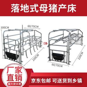 加欧厚一单体母猪定位栏两用体分娩床落地式产猪床保RKB育用设备