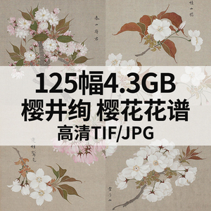 樱井绚 樱花花谱高清电子日本江户时代和风手绘花卉素材125幅4.3G