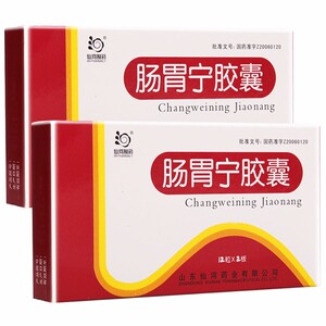 仙河肠胃宁胶囊