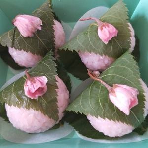 绿色/茶色盐渍樱叶50张日式料理寿司长命寺樱叶饼装饰盐渍樱花叶