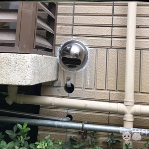 排气管防虫罩