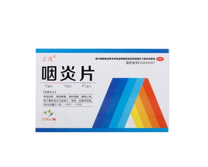 正茂咽炎片