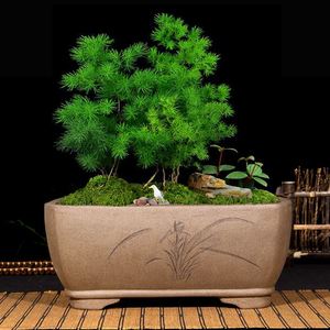 宜兴紫砂花盆特大长四方盆景盆陶瓷盆兰花盆绿植花卉盆栽特惠包