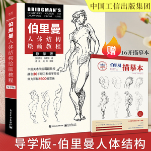 伯里曼人体结构教学2022中国工信出版集团艺用人体解剖动态解剖入门画册临摹人体结构原理和绘画教学造型手绘技法国美人物速写书籍
