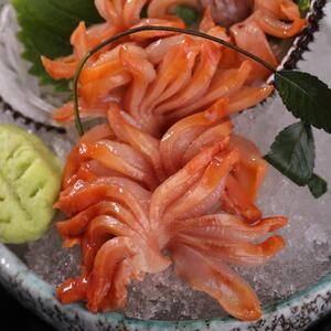 赤贝刺身即食赤贝肉切片北极贝新鲜贝类生吃海鲜冷冻日本料理海鲜