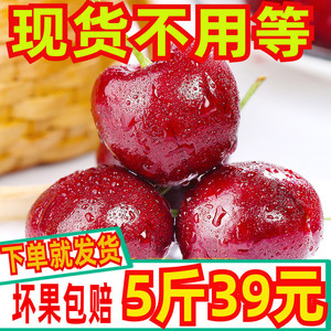 大车厘子超大