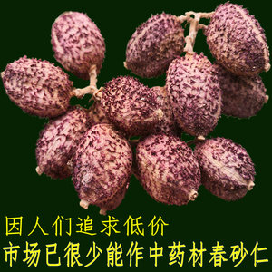 正宗阳春春砂仁100g太阳生晒干货春砂仁果红壳黑籽味浓烈可代磨粉