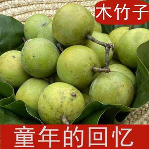木竹子黄牙果野生