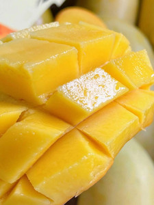 哈尼蜜芒花皮果云南边境晚熟芒果甜当季新鲜大果5斤整箱孕妇