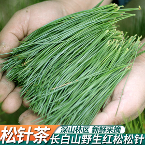 长白山野生松针茶新鲜松叶茶东北五针松非马尾松500g包邮特产