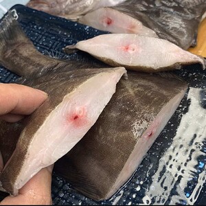 新鲜冷冻小偏口鱼小扁口鱼去头内脏油煎烧烤青岛海鲜2-4条/斤3斤