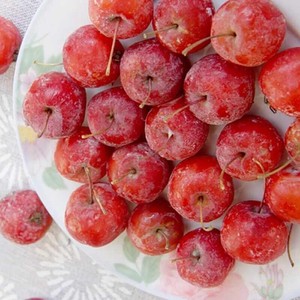 东北内蒙古应季冷冻123小苹果水果沙果海棠果当季3斤包邮