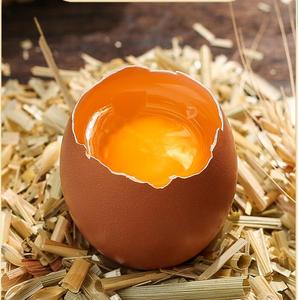 褐壳鸡蛋黑山