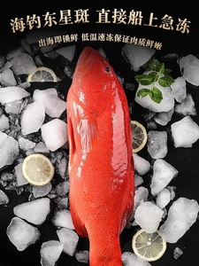 1-1.2斤1条 深海东星斑石斑鱼鲜活冷冻新鲜海鲜_阿里巴巴找货神器
