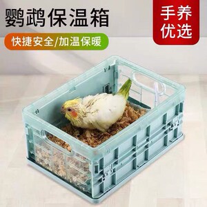 虎皮鹦鹉孵化器小型