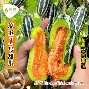 琼玉1号甜瓜种籽甜瓜种孑大全高产四季香瓜种子冰糖蔬菜水果种子