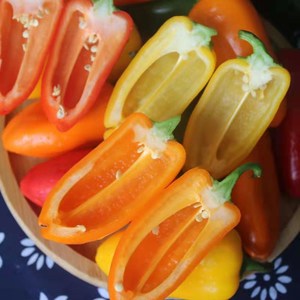山东迷你水果彩椒当季新鲜五彩甜椒生吃红灯笼小辣椒沙拉蔬菜包邮