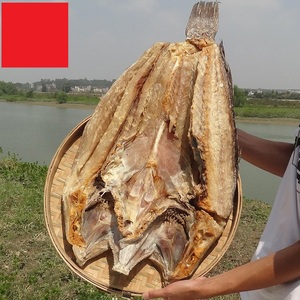 广东特产海产干货