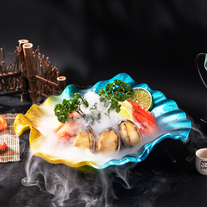 刺身盘冰盘大干冰创意意境菜餐具海鲜拼盘三文鱼鱼生专用摆盘盘子