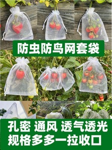 多颜色蔬果套袋网纱袋防蚊虫防鸟草莓西瓜园林果树水果蔬菜保护袋