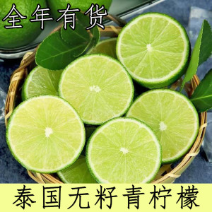 塔西提 泰国薄皮无籽青柠檬新鲜酒吧奶茶店专用现摘现发3/5斤装包