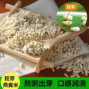 燕麦胚芽米新米9斤发芽米坝上全胚芽破壁去芒刺去壳祼燕麦仁散装