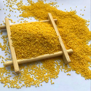 河南安阳马投涧黄小米红谷小米农家米杂粮黄小米5