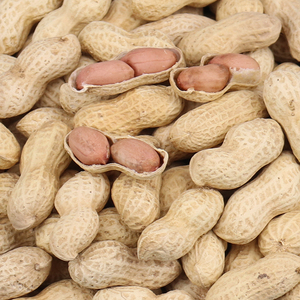 炒小花生原味 新货湖南特产带壳铁锅生小籽农家炒熟散装即食香脆