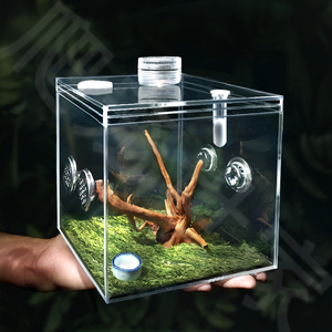 亚克力高透明保湿透气爬虫昆虫鸣虫饲养盒蝈蝈盒竹节虫宠物电报蛉