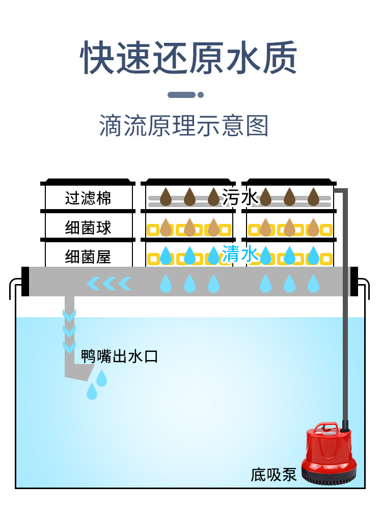 大型鱼缸下过滤水循环系统