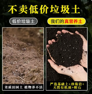 通用型营养土草坪花卉苗木多肉蔬菜专用营养土盆栽绿植有机土肥料