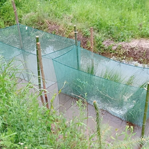 渔网鱼网布10目水产养殖网箱渔网鱼塘护坡网青蛙龙虾防逃围网网片